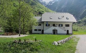 Pus Bavsica
